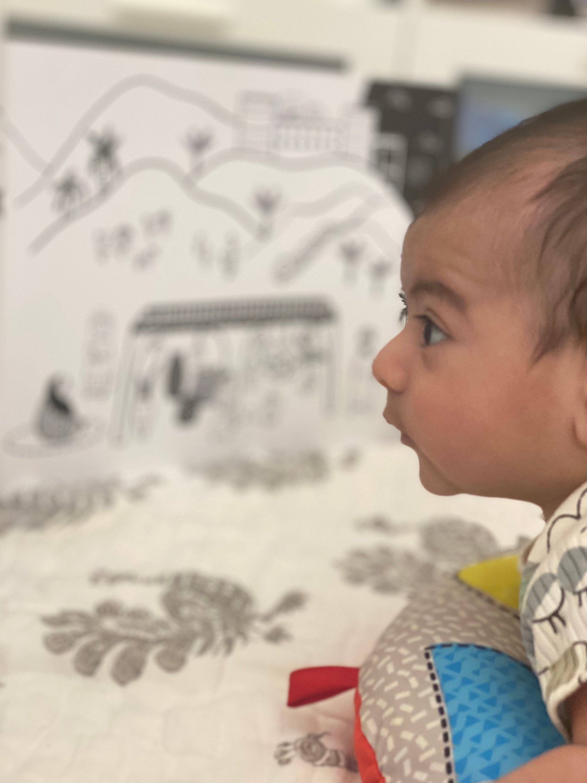 Why High-Contrast Black and White Books Are a Must-Have for Your Baby's Development - Baladi Baby