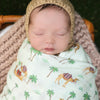 Desert Dreams Bundle