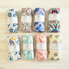 Baladi Baby Everything Bundle